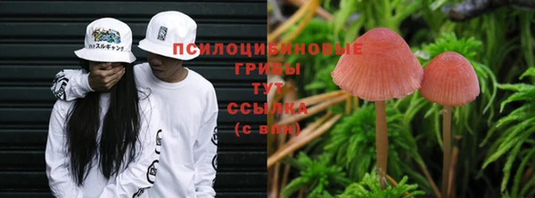меф Алзамай