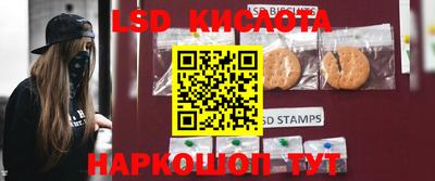 прущие грибы Чебаркуль