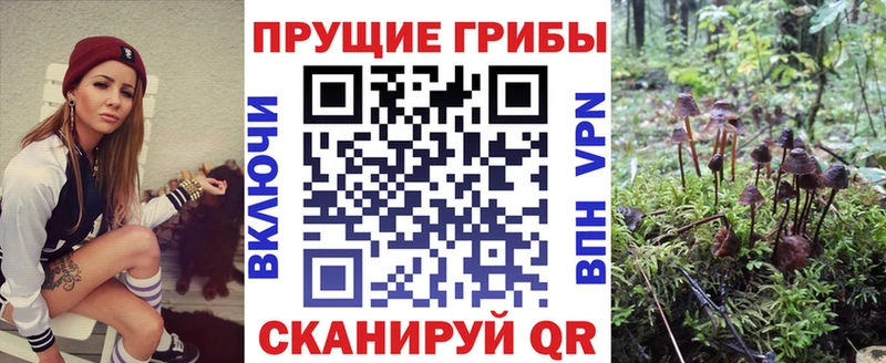 Галлюциногенные грибы мицелий  Переславль-Залесский 