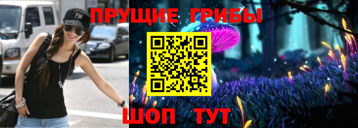 Переславль-Залесский  Псилоцибиновые грибы Psilocybe  Псилоцибиновые грибы прущие грибы  Вход с VPN 